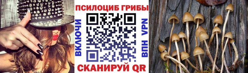 Галлюциногенные грибы мухоморы  Купить где  Мыски 